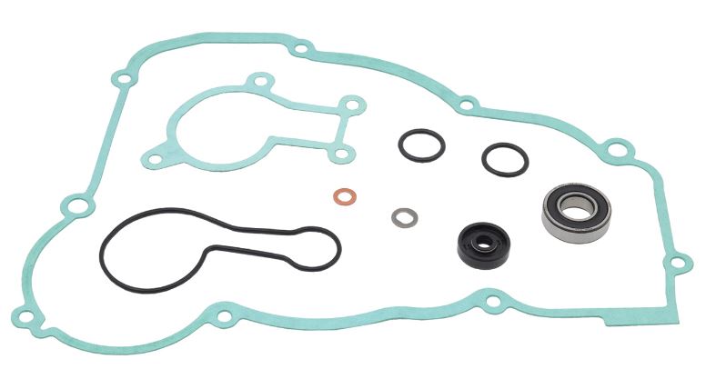 Water Pump Rebuild Kit Psychic