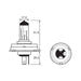 Halogen Bulb 12V 35/35W H4 P45T-41 Link Products