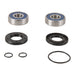 All Balls Racing Jet Pump Rebuild Kit (14-3003)