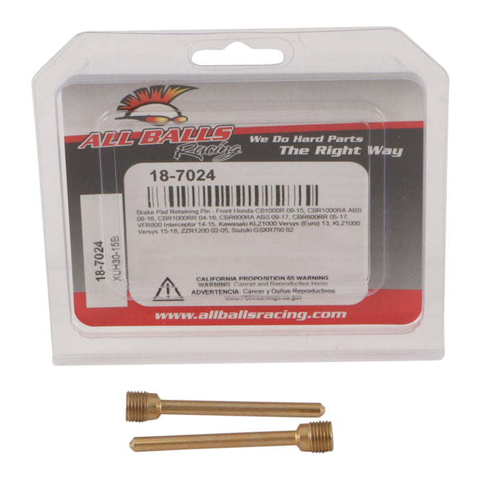 All Balls Racing Brake Pin Kit (18-7024)