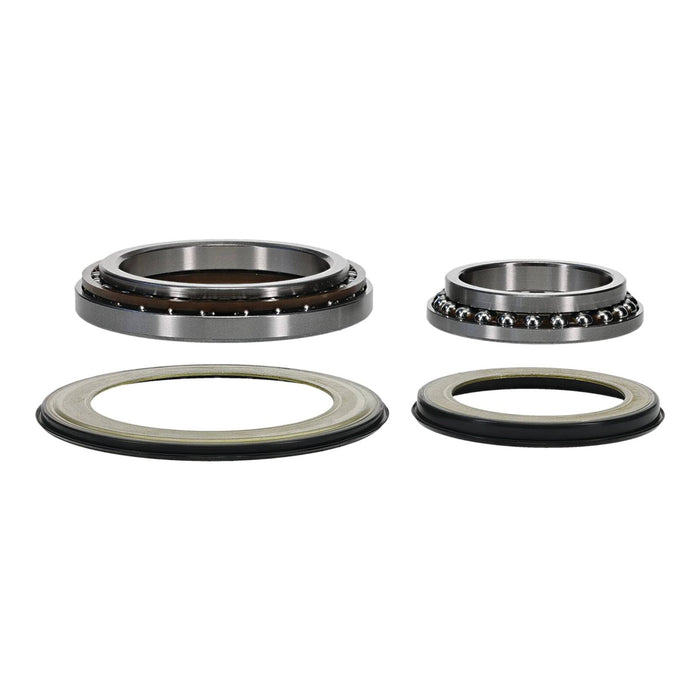 Steering Head Bearing & Seal Kit 22-1079