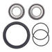 All Balls Racing Wheel Bearing Kit (25-1008)