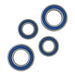Wheel Bearing Kit Rear 25-1808