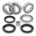 Differential Bearing & Seal Kit Rear - 25-2101