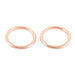 Exhaust Gasket Kit 823003