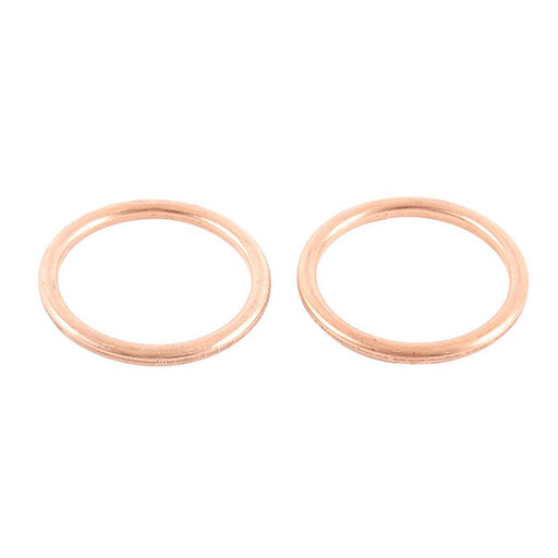 Exhaust Gasket Kit 823018