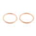 Exhaust Gasket Kit 823018