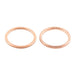 Exhaust Gasket Kit 823048