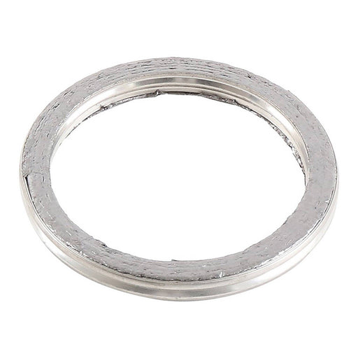 Exhaust Gasket Kit 823056