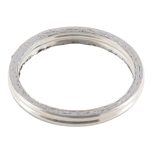 Exhaust Gasket Kit 823070