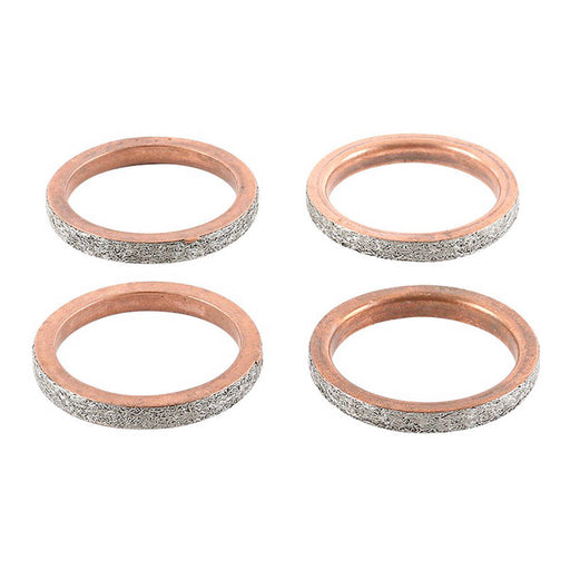 Exhaust Gasket Kit 823125