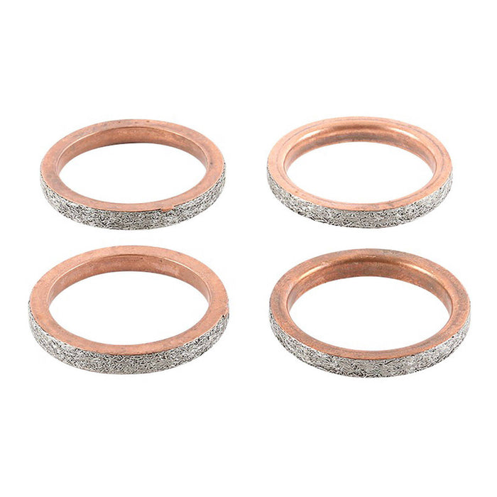 Exhaust Gasket Kit 823125