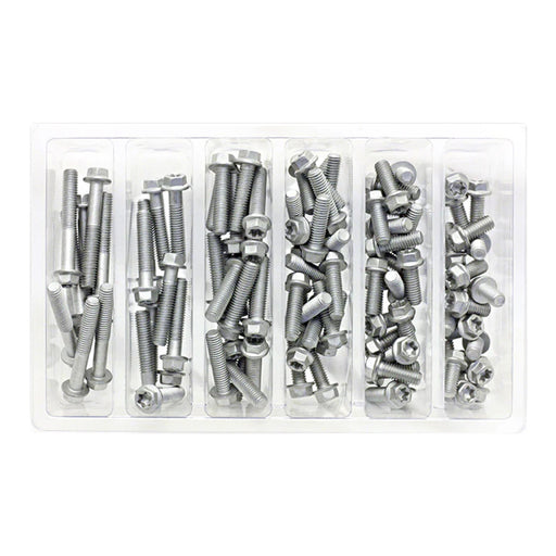 Bolt Workshop Service Kit: M6 Euro Torx Bolt