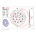 Brembo Brake Disc