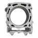 Cylinder CW20014