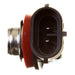 Globe 12V 55W H/L H11 Halogen (ea)