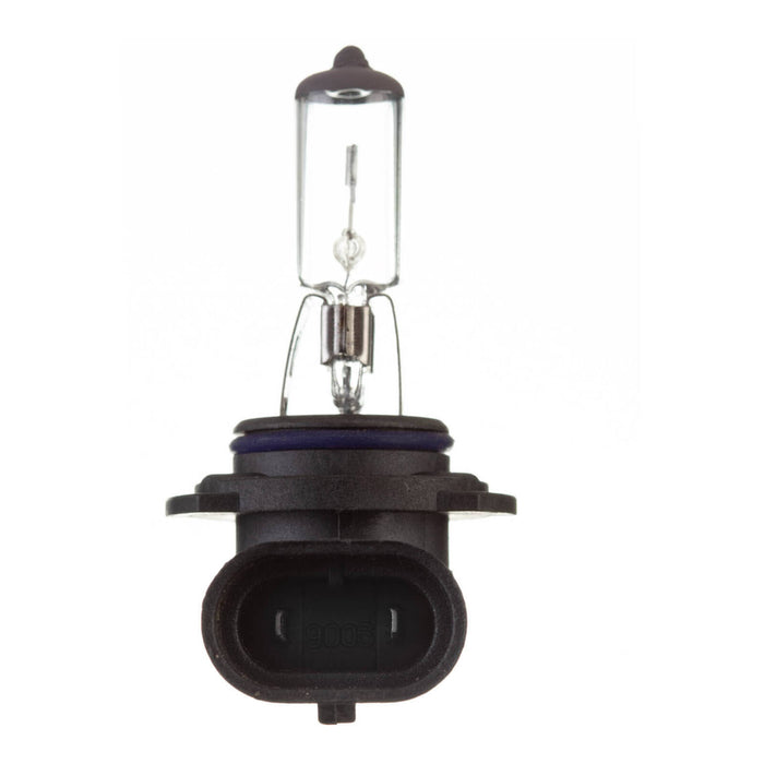Globe 12V 55W H/L HB4 Plastic Base Halogen (ea)