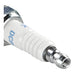 NGK Spark Plug - DCPR8E (4339)