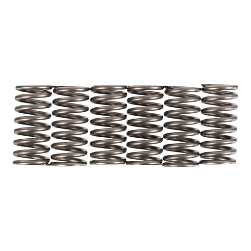 Premier Clutch Springs - Heavy Duty
