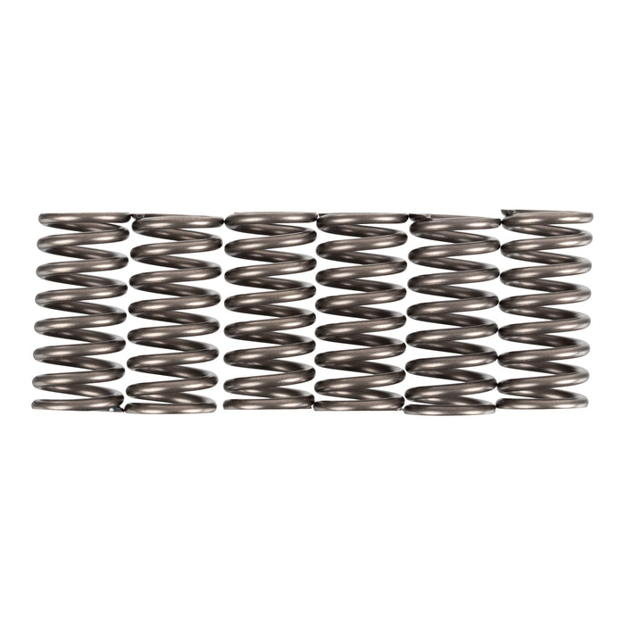 Premier Clutch Springs - Heavy Duty