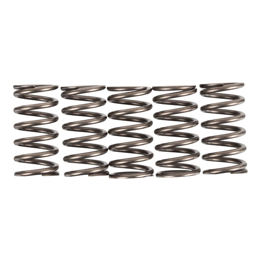 Premier Clutch Springs - Heavy Duty