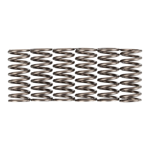 Premier Clutch Springs - Heavy Duty