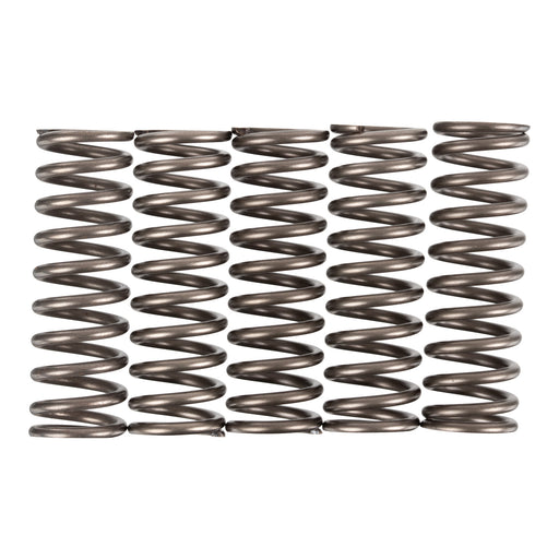 Premier Clutch Springs - Heavy Duty