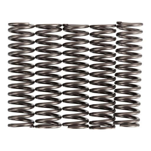 Premier Clutch Springs - Heavy Duty