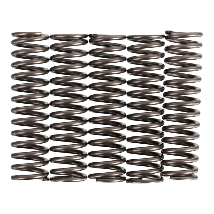 Premier Clutch Springs - Heavy Duty