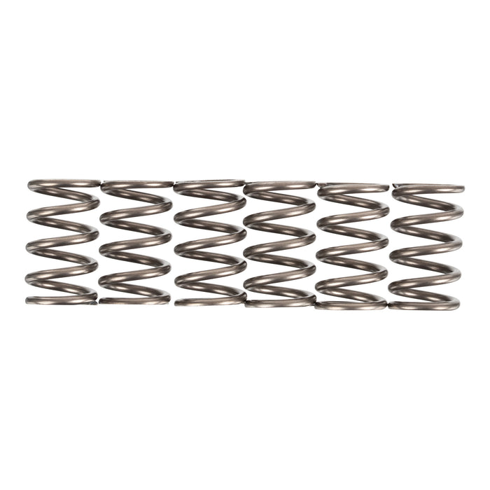 Premier Clutch Springs - Heavy Duty