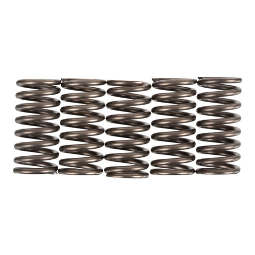 Premier Clutch Springs - Heavy Duty