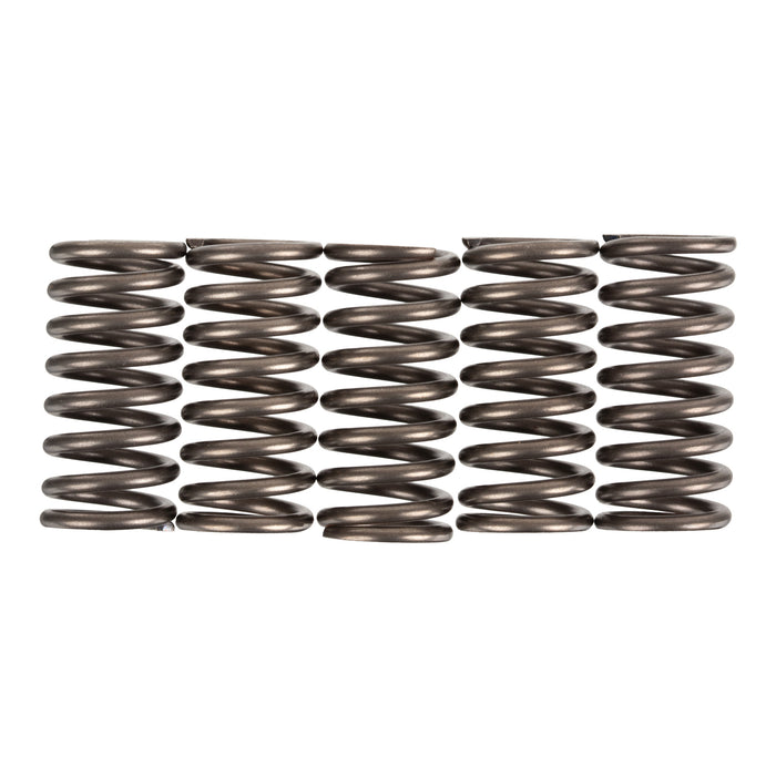 Premier Clutch Springs - Heavy Duty