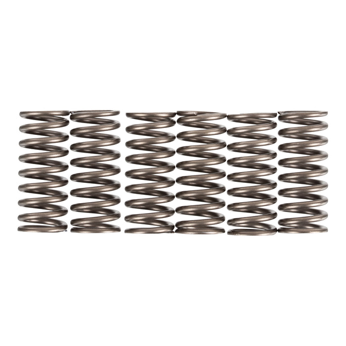 Premier Clutch Springs - Heavy Duty