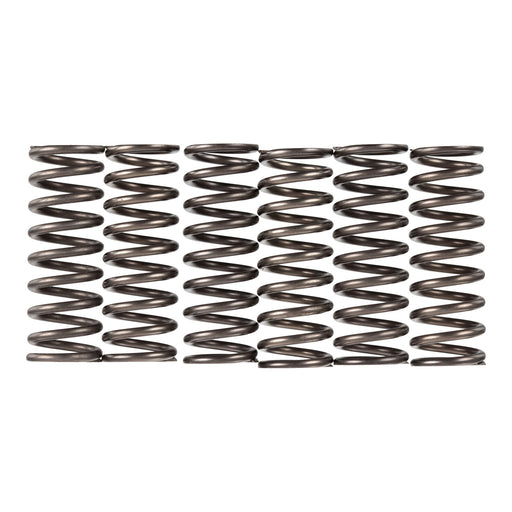 Premier Clutch Springs - Heavy Duty