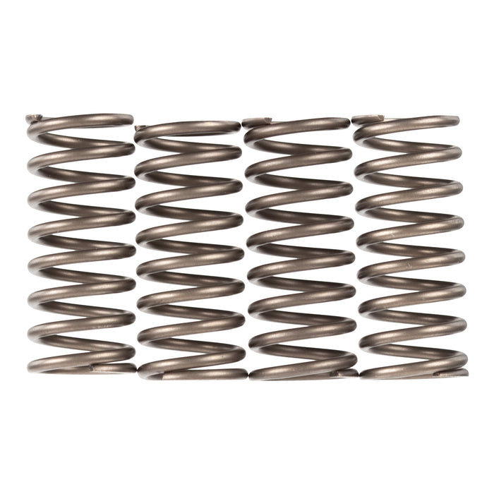 Premier Clutch Springs - Heavy Duty