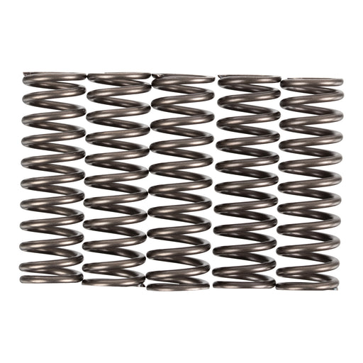 Premier Clutch Springs - Heavy Duty