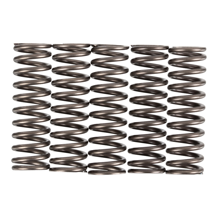 Premier Clutch Springs - Heavy Duty