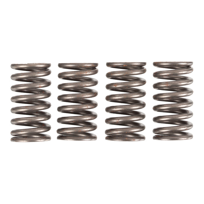 Premier Clutch Springs - Heavy Duty