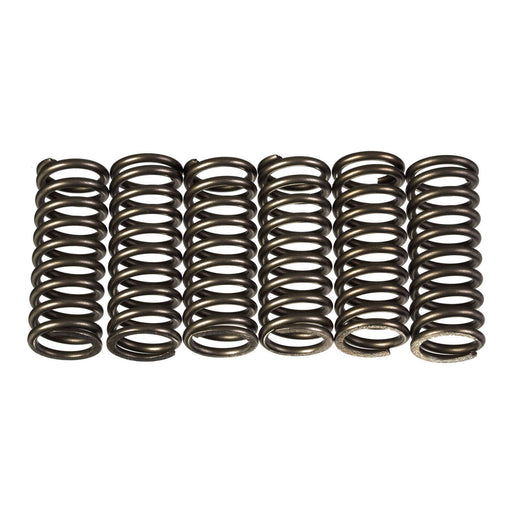 Premier Clutch Springs - Heavy Duty