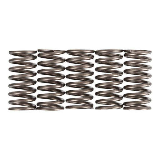 Premier Clutch Springs - Heavy Duty