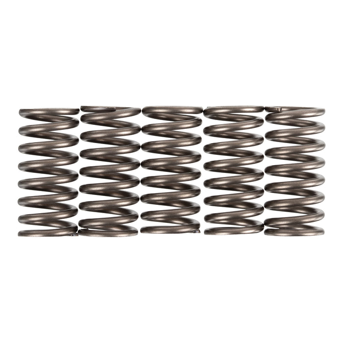 Premier Clutch Springs - Heavy Duty