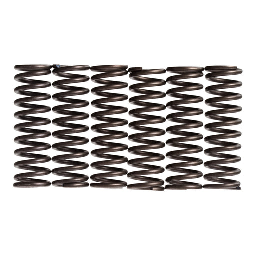 Premier Clutch Springs - Heavy Duty
