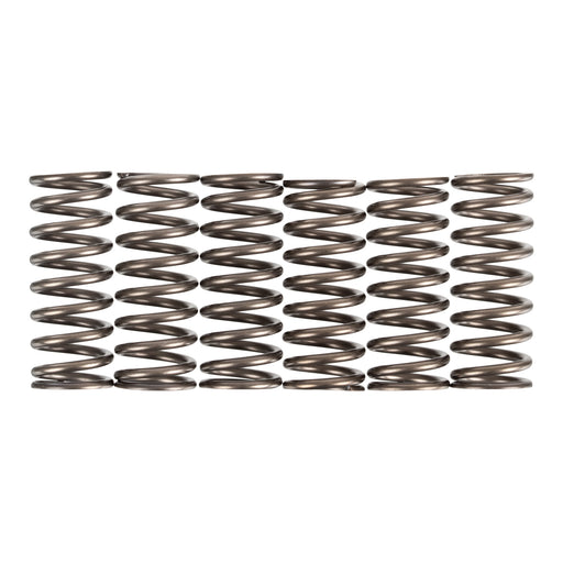 Premier Clutch Springs - Heavy Duty