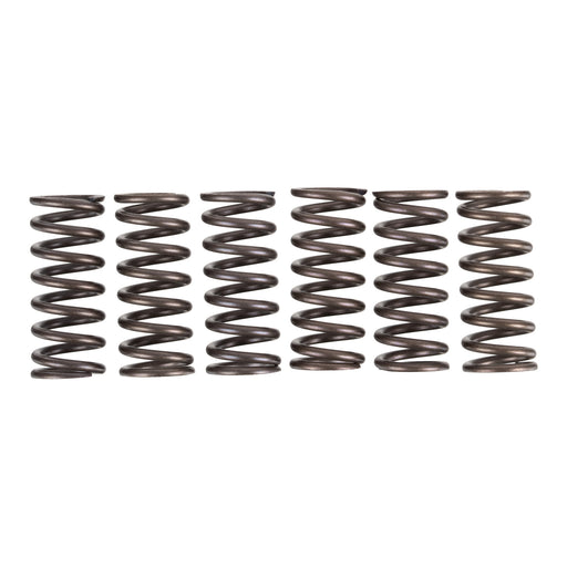 Premier Clutch Springs - Heavy Duty