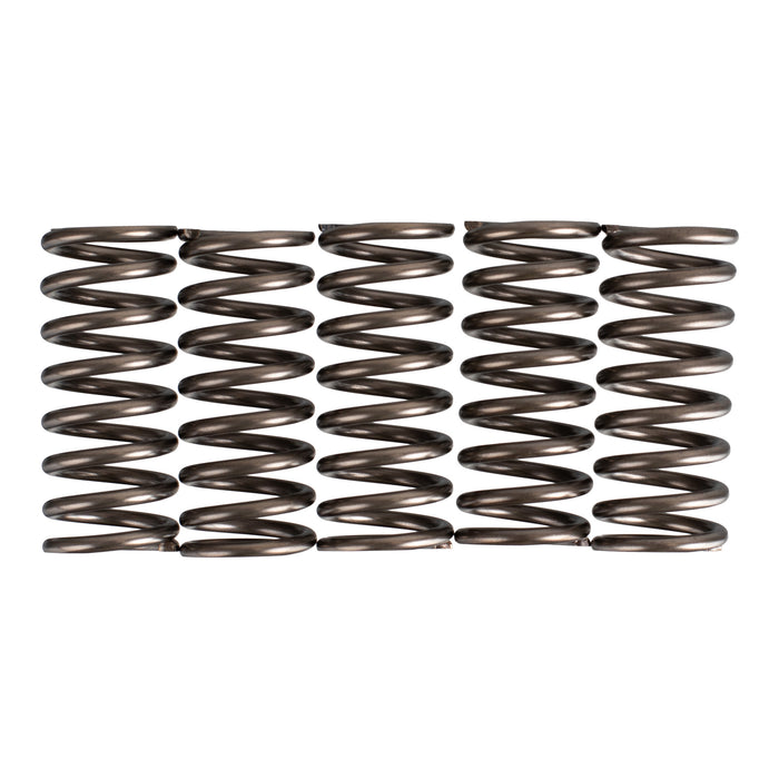 Premier Clutch Springs - Heavy Duty