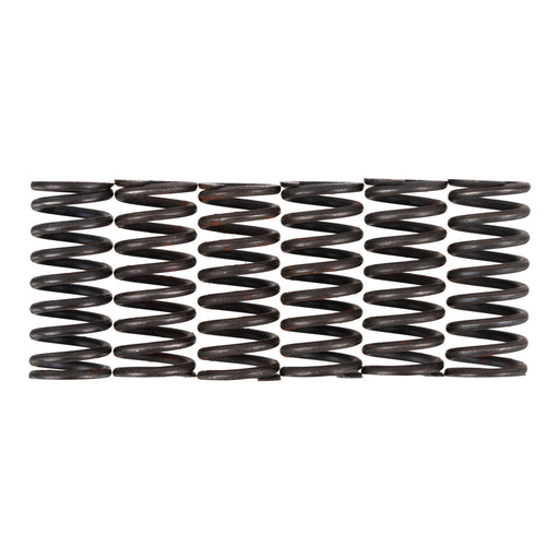 Premier Clutch Springs - Heavy Duty