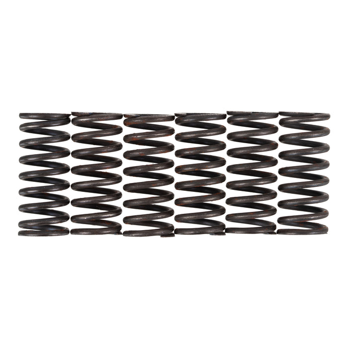 Premier Clutch Springs - Heavy Duty