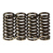 Premier Clutch Springs - Heavy Duty