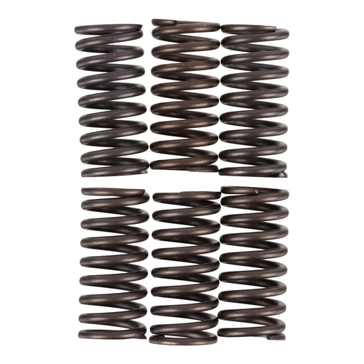 Premier Clutch Springs - Heavy Duty
