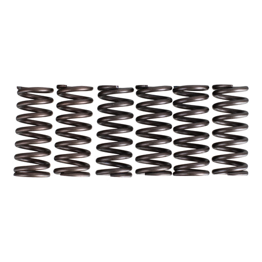 Premier Clutch Springs - Heavy Duty